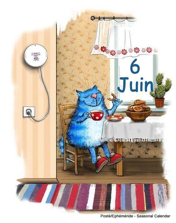juin 2018 - Page 3 34471710