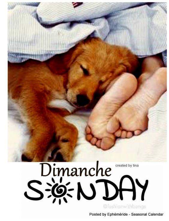 Décembre 2018 46403310