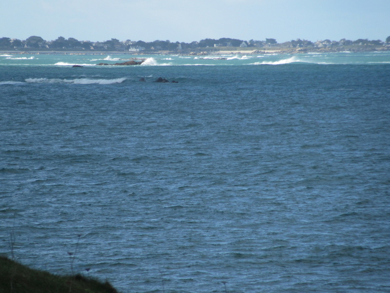 Plouescat : baie de Kernic/PorsMeur/Pors-Guen... - Page 21 00611