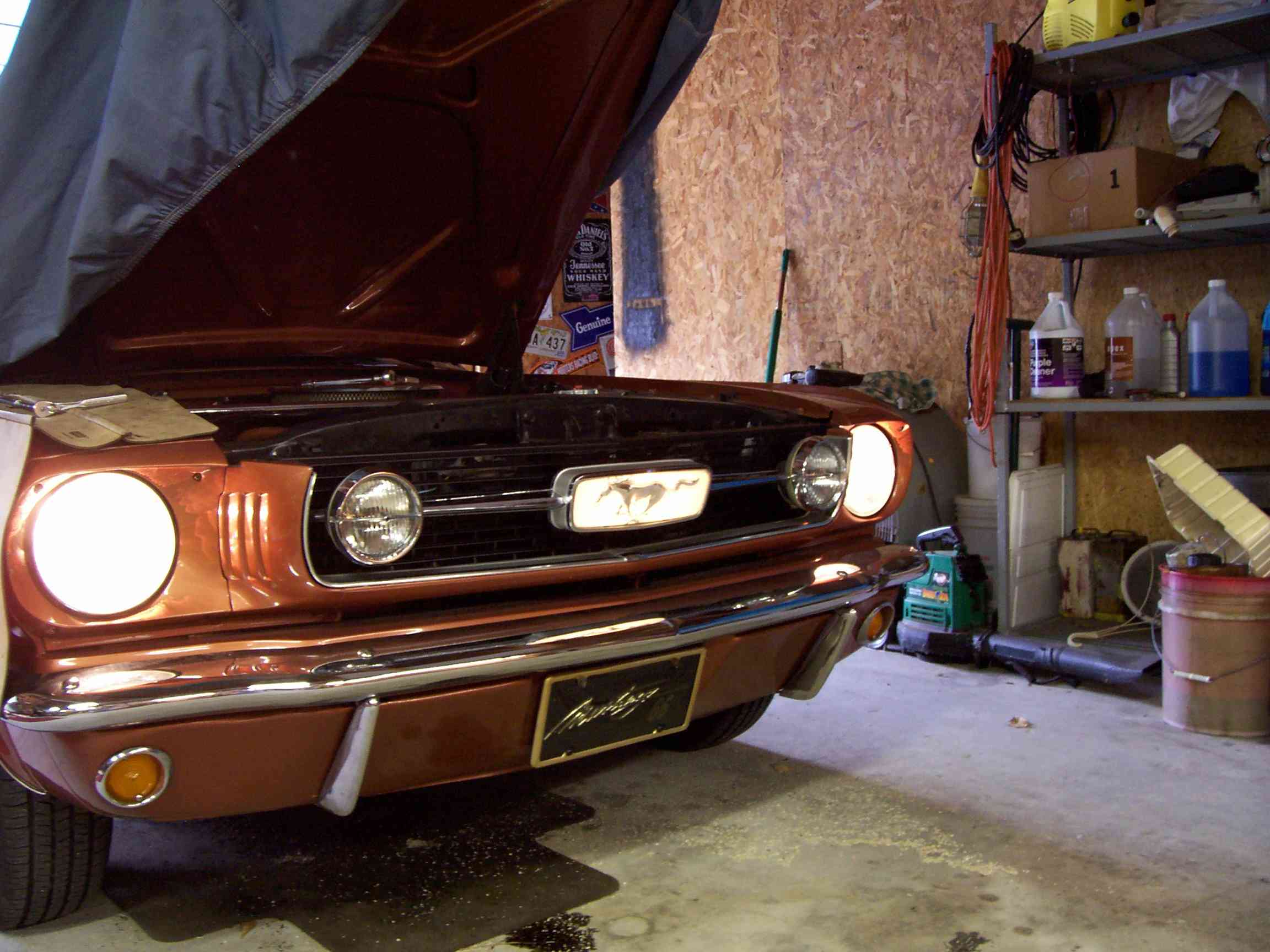 42: Accessoire: Emblème de grille lumineux pour Mustang 1966 Emblym13