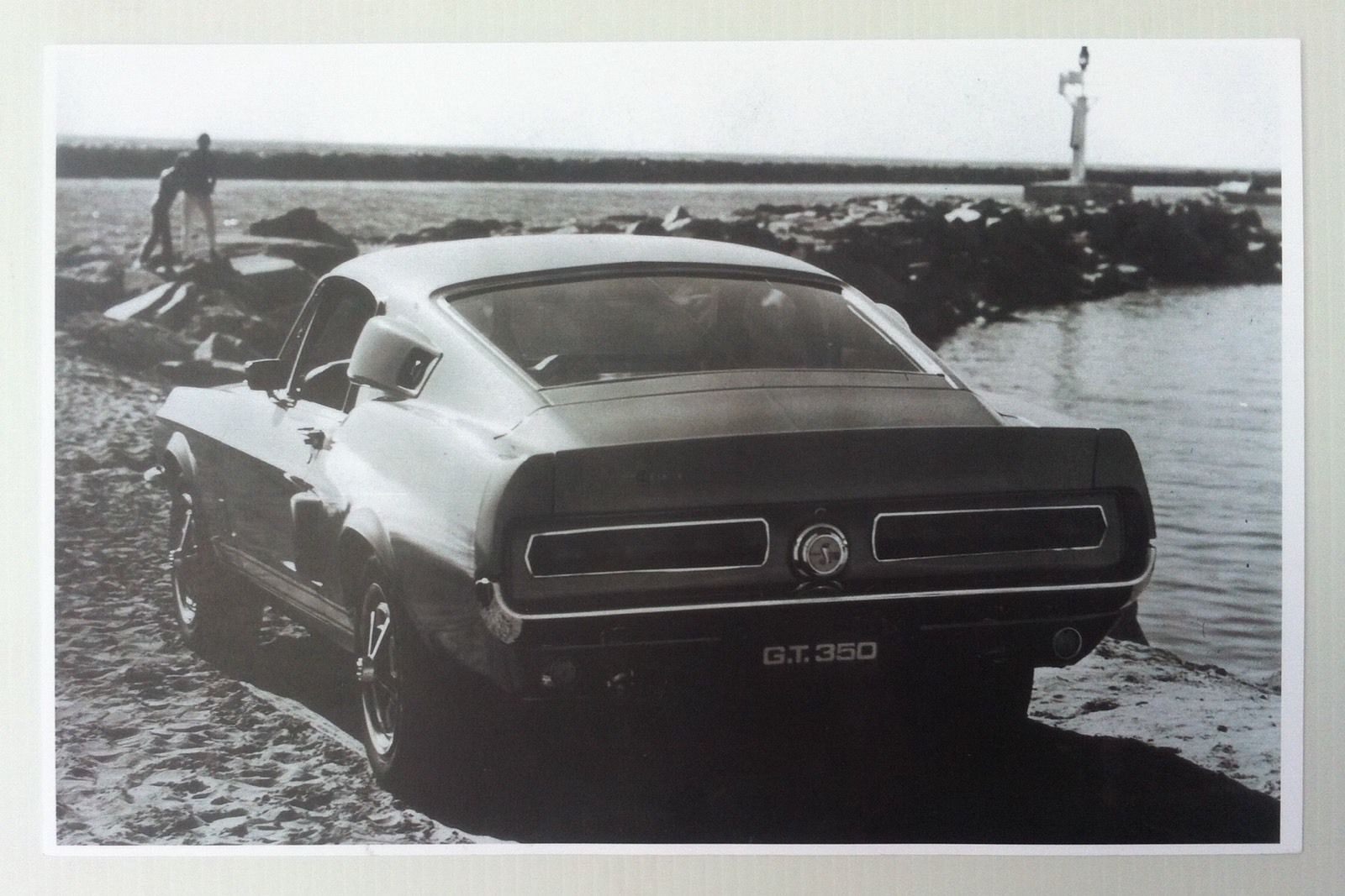 1967 Shelby (photo d'époque) Shelby13