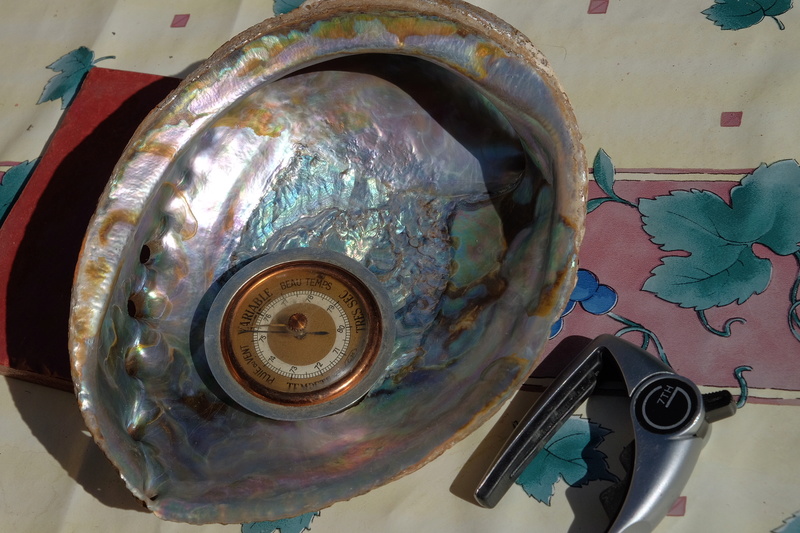 Abalone et baromètre 2018_010