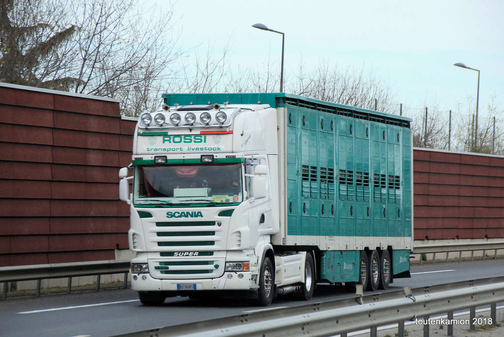 Rossi transports livestock Img_8928