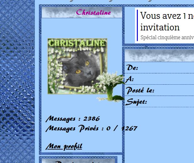 Problème de décalage sur mon forum après avoir changé de thème... 03052010