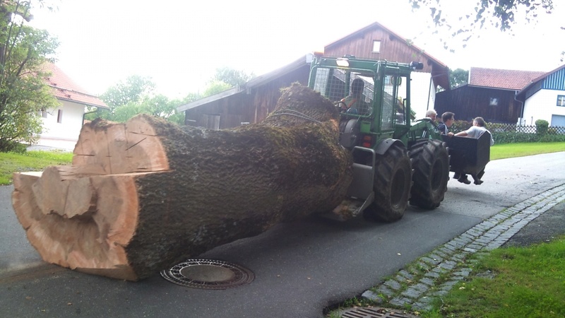 Recherche tracteur pour aller faire du bois de chauffage Normal12