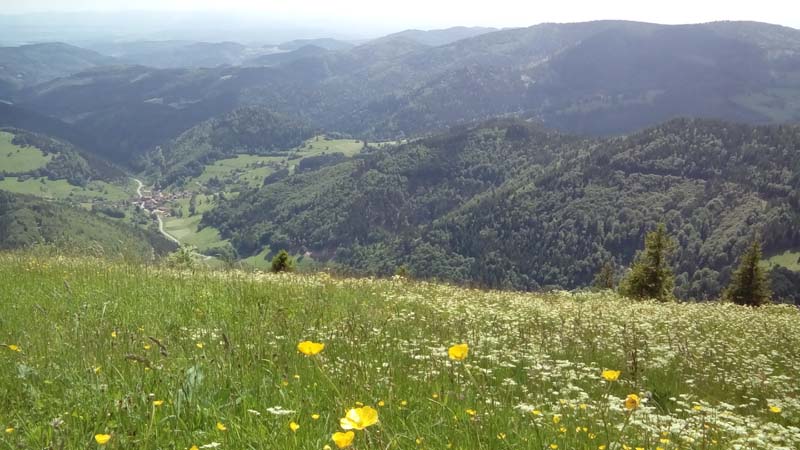 Sortie Allemagne Montagne Dsc_0615