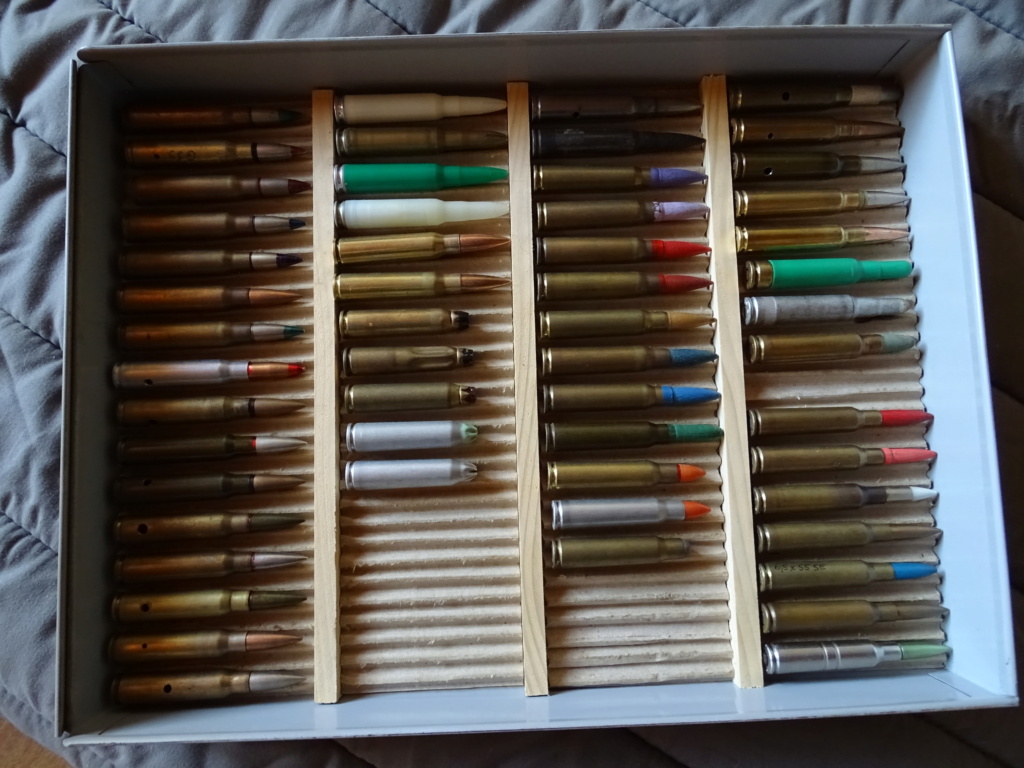 collection de munitions Dsc08518