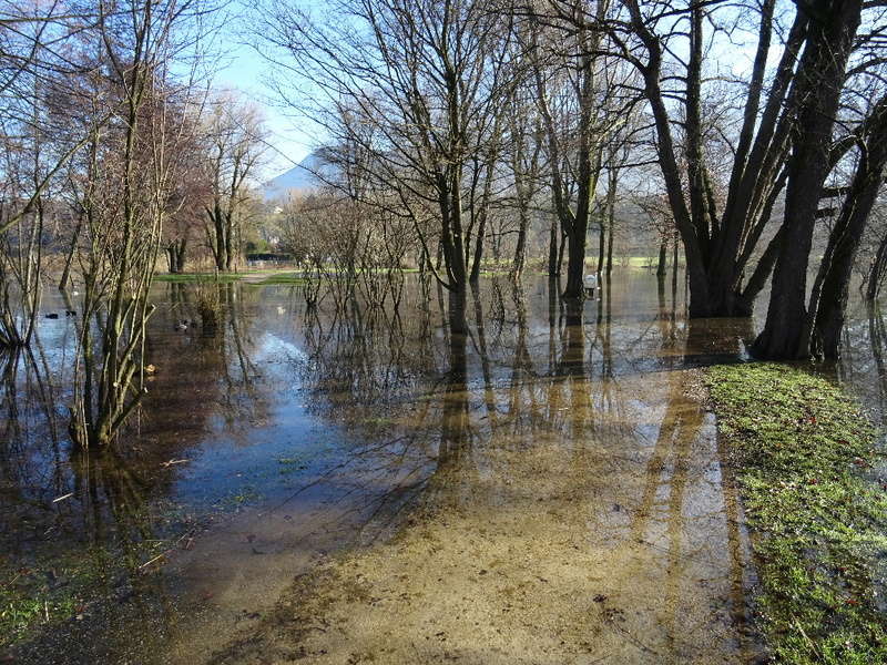 73- Les pieds dans l'eau... Inonda39