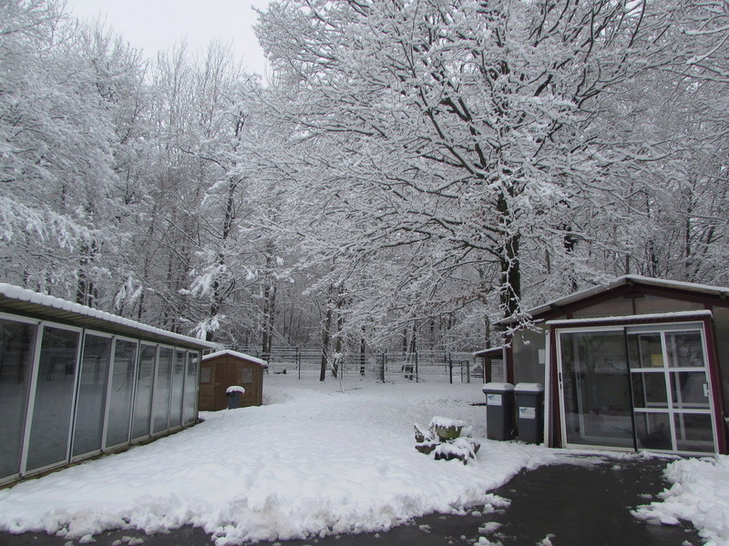 REFUGE SOUS LA NEIGE MERCREDI 7 FEVRIER 2018 02240