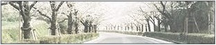 Matsue Cours_10