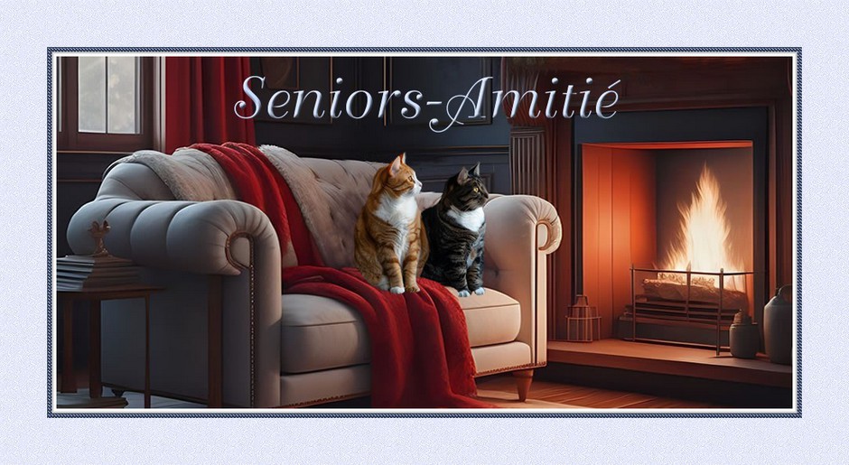 Forum Seniors Amitié