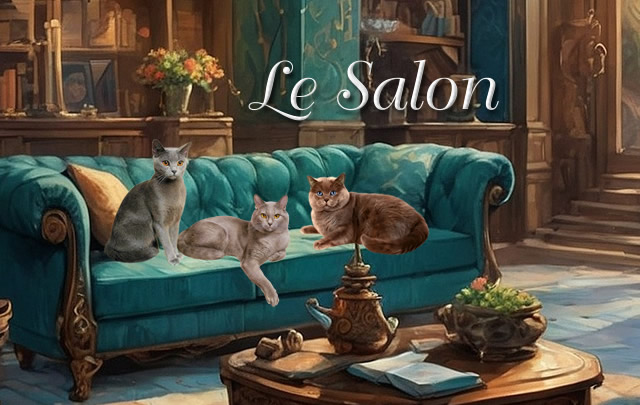 ► Forum : Le SALON Salon-12