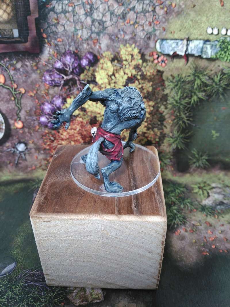 Zombicide Classic & Fantasy  - Page 2 Loup_210