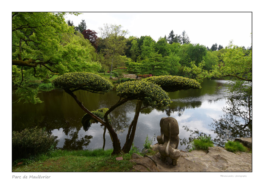 Parc oriental de Maulévrier Dsc_9222