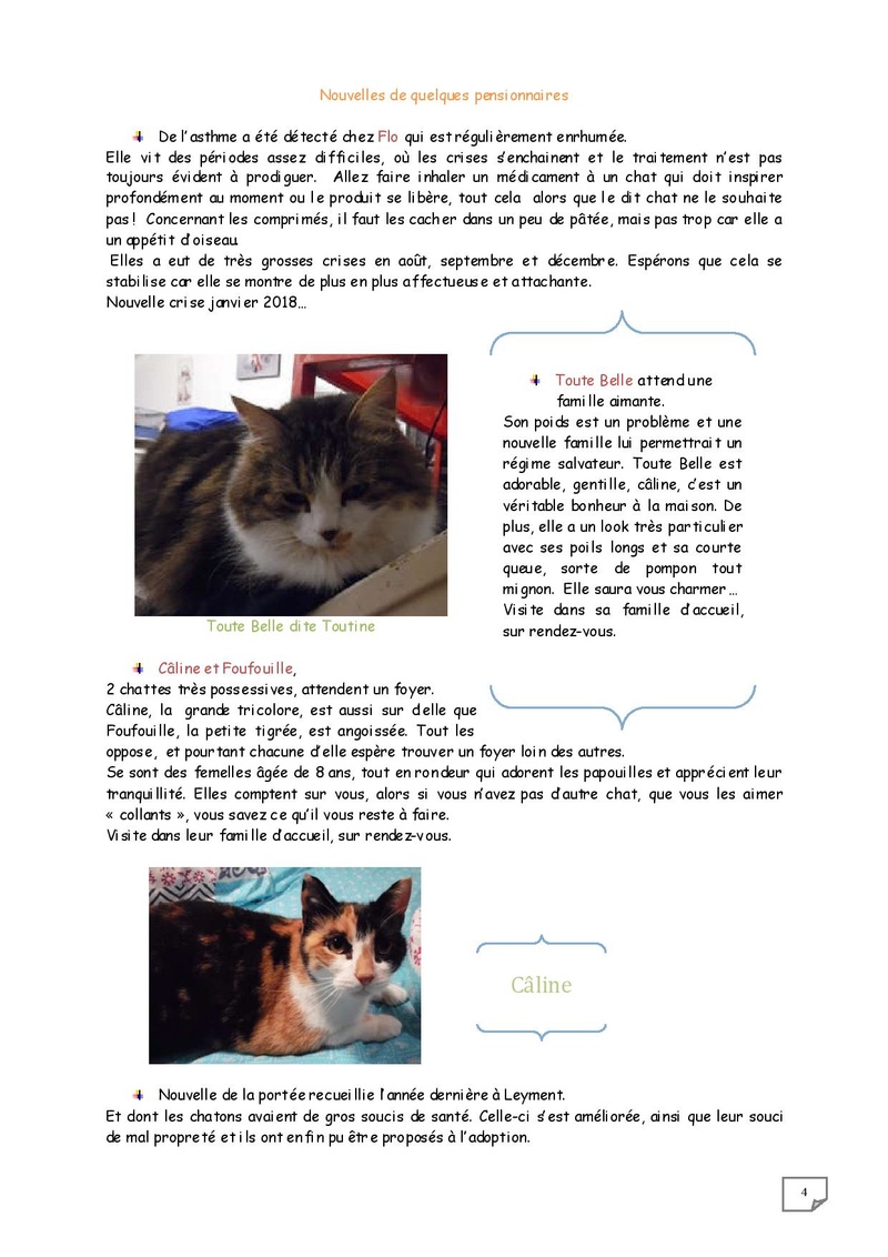 Nouvelles de l'association CHATON NON  - Page 2 Bullet12