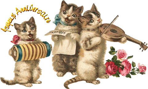 Q Tbn And9gcsry6dgpndq9tlyvdv6arsqq0nchwycn5kcta Usqp Cau Q Tbn And9gcsry6dgpndq9tlyvdv6arsqq0nchwycn5kcta Usqp Cau