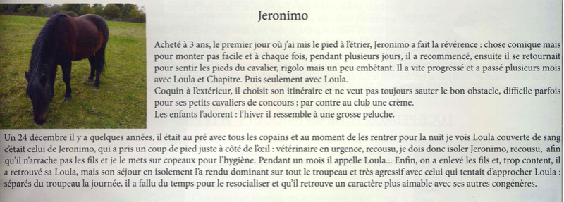 JERONIMO - OI Poney né en 1998 - accueilli chez Pech-Petit en septembre 2017 - DCD en mai 2019 Jeroni10