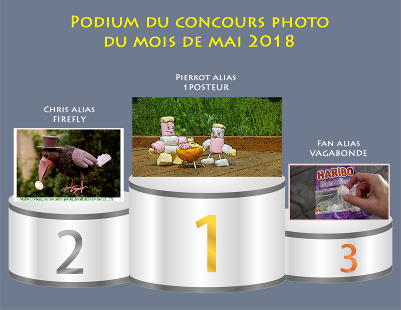 Concours photo du mois de mai 2018 - Thème "sublimer des chamallows ou marshmallows" (terminé) Podium14