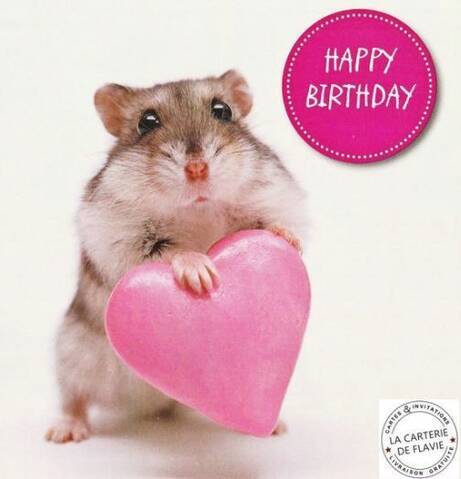 Joyeux Anniversaire Page 14