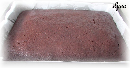 Gâteau moelleux au chocolat Gyteau17