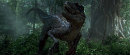 Sorna Velociraptor Sorna Velociraptor