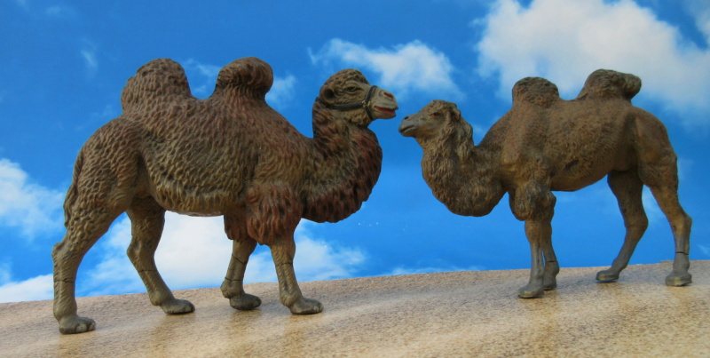 Bactrian camels and dromedaries by Lineol and Elastolin Img_6414