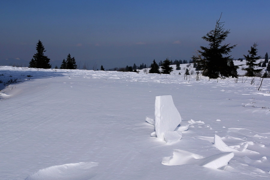 Sculptures neigeuses. P1040314
