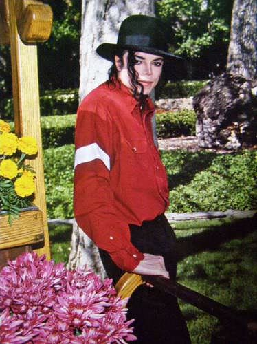 Michael In Neverland 16-710