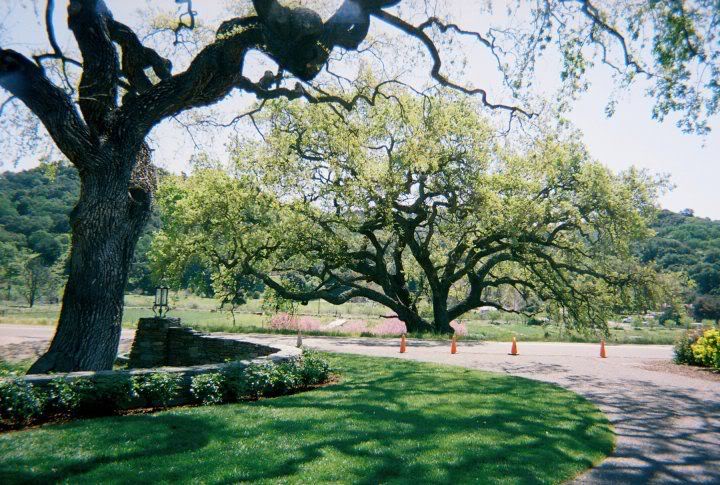 neverland - Neverland Front Gate 17-610