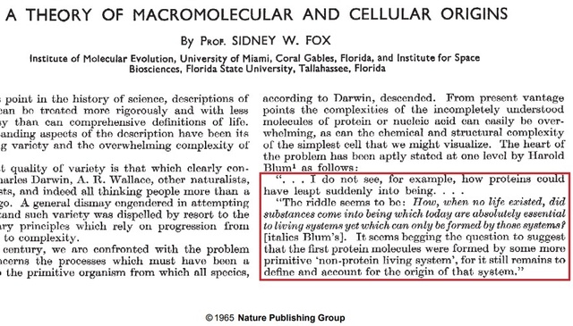 Catch22, chicken and egg problems in biology and biochemistry Blums_10