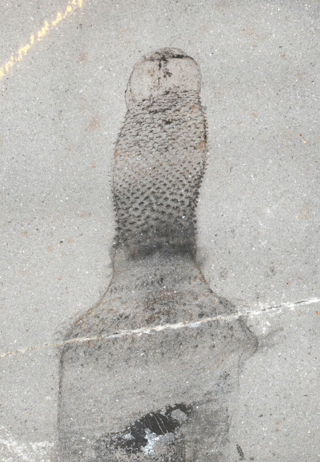 Ottoia - priapulid worms from the Cambrian Ottoia11