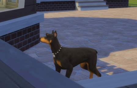 Glitches with Sims 4 Cats and Dogs 11-12-10