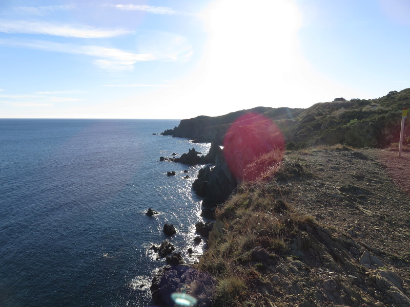 Le Sentier du littoral (Banyuls/Mer - Cerbère) Img_4111