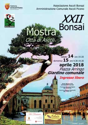 mostra bonsai Ascoli Piceno Bonsai10