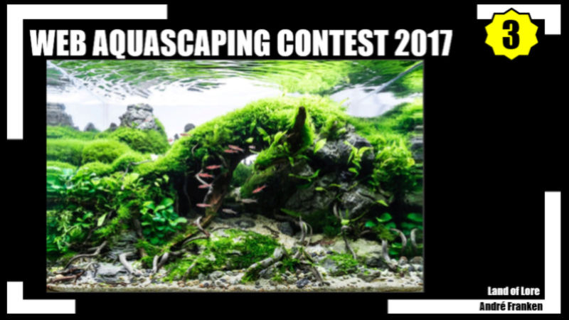 Web Aquascaping Contest 2017 Edition 2  311