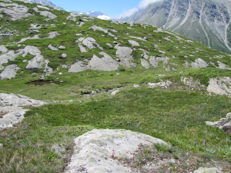 Col du petit Mont Cenis Fr-73-27