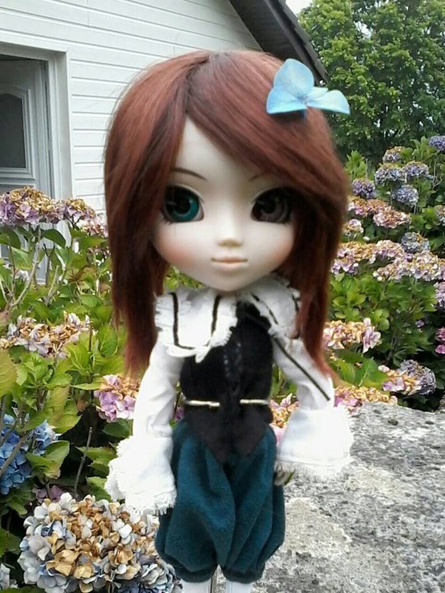 ATTENTION - Pullip Volée - appel à vigilance 28056710