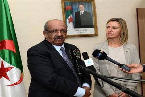 الجزائر..صمت رسمي مثير للاستغراب بخصوص الانتقادات الأوروبية لحكومة أويحيى Files_66