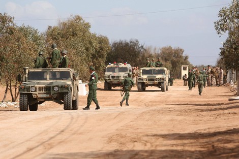 برلماني مغربي يدعو الجيش إلى التدخل العسكري ضد البوليساريو Morocc10