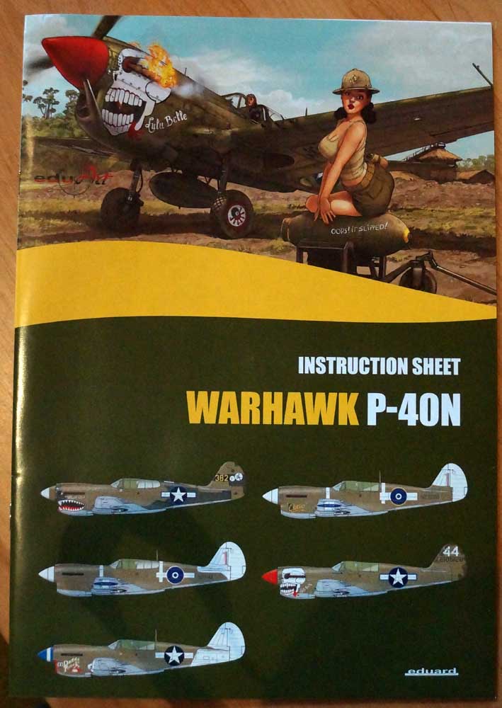 P 40 Warhawks “The Burma Banshees” Dsc00915
