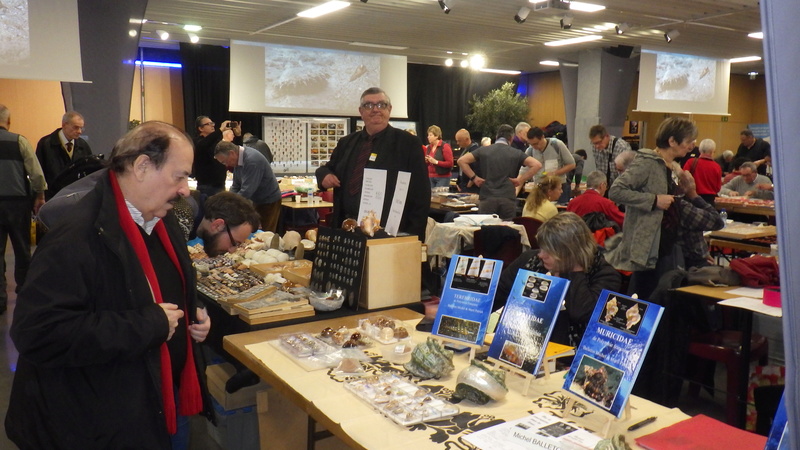 30ème Rencontres Internationales du Coquillage 10 & 11 mars 2018 - Page 4 Rimg5927