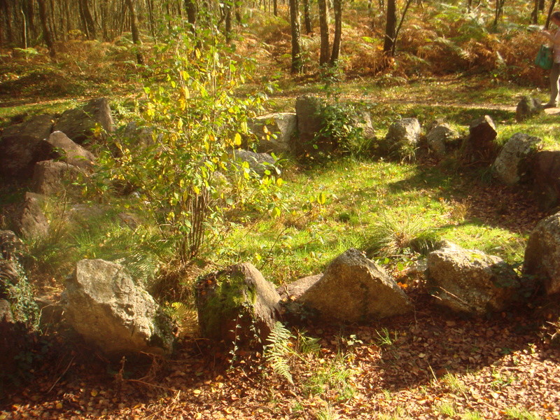 Balade dans la forêt de Paimpont Dsc06960