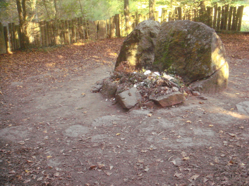 Balade dans la forêt de Paimpont Dsc06971