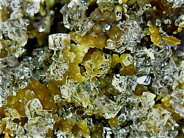 Phillipsite-Chabasite-Montmorillonite Win_2884