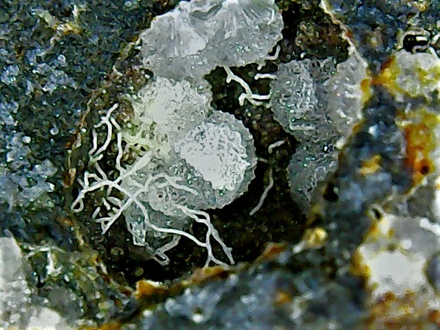 Phillipsite-Chabasite-Montmorillonite Win_2889