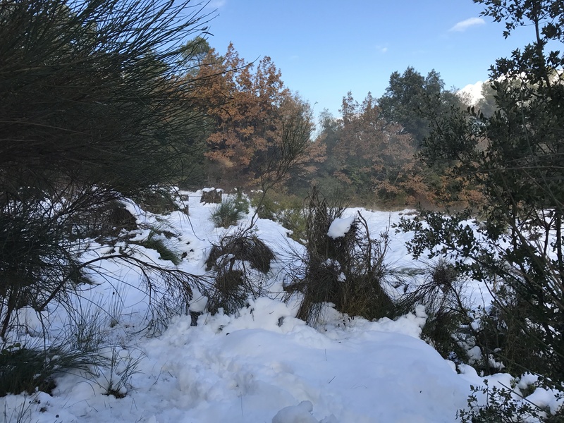 TERRAIN GERF COS DECEMBRE 2017 sous la neige Img_2020