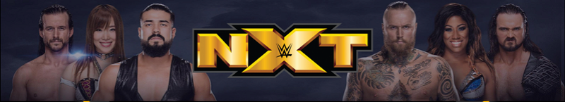 [Pronos] NXT TakeOver: New Orleans Sans_t10