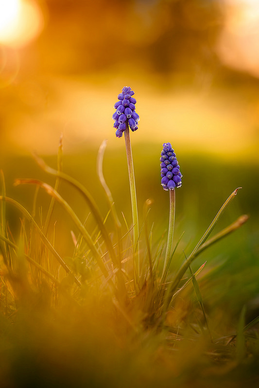 Election de la photo du concours d'avril 2018 + Résultats 3312