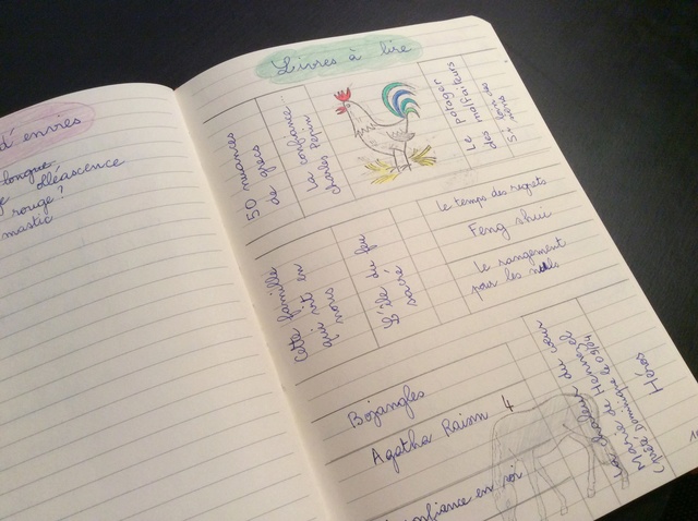 Bullet journal ou bujo pour les intimes: agenda sur mesure 90d98710