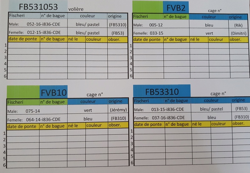 Eric du 49 (plan d'élevage saison 2018) 20171218